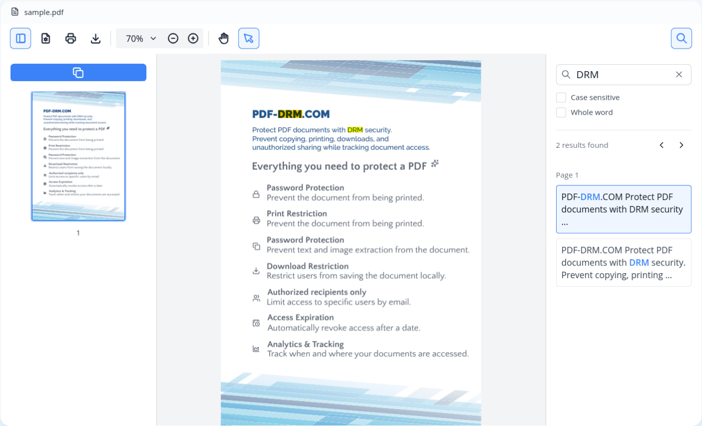 Preview of the PDF viewer interface